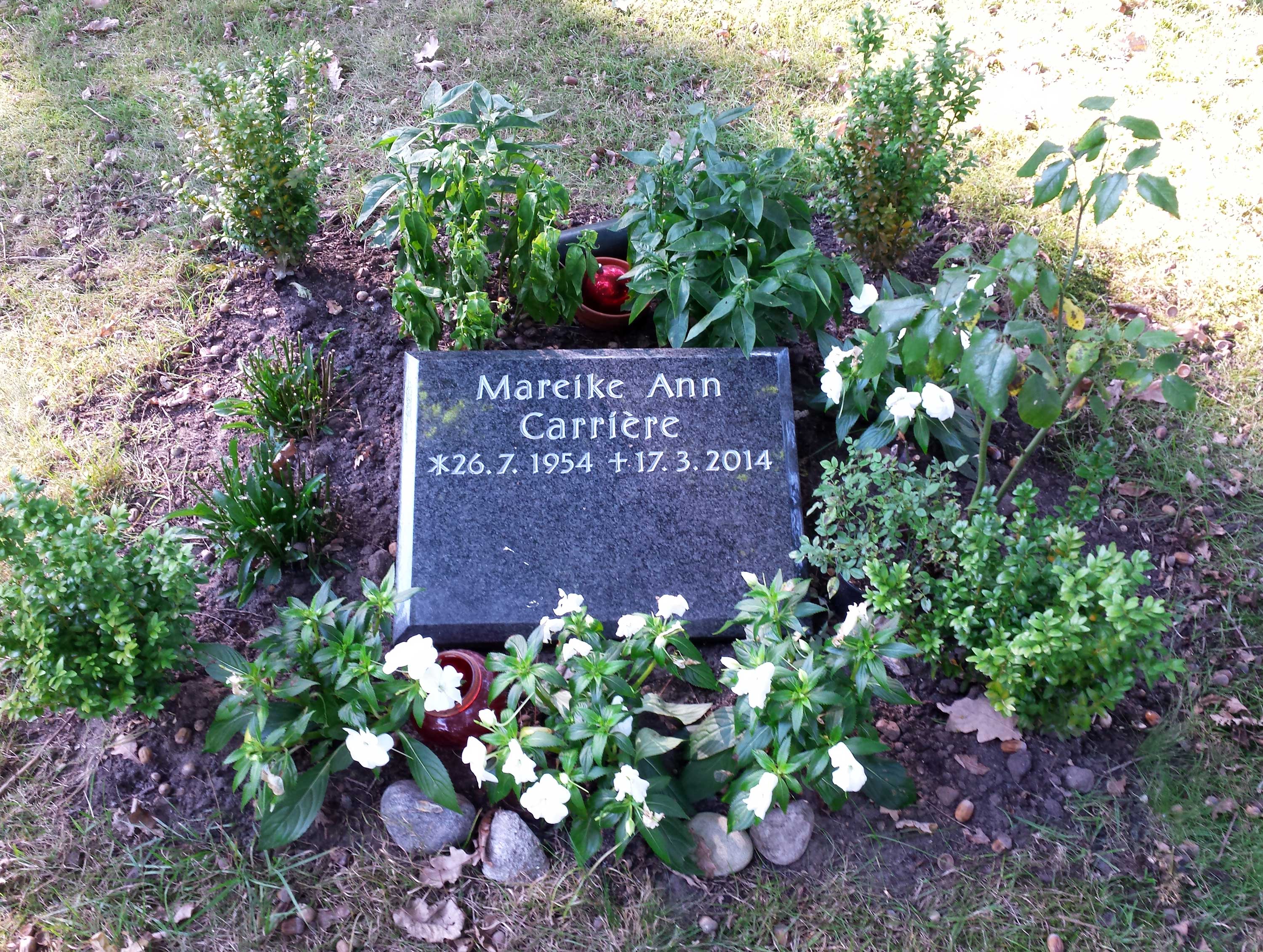 Grab von Mareike Carrière auf dem Ohlsdorfer Friedhof in Hamburg