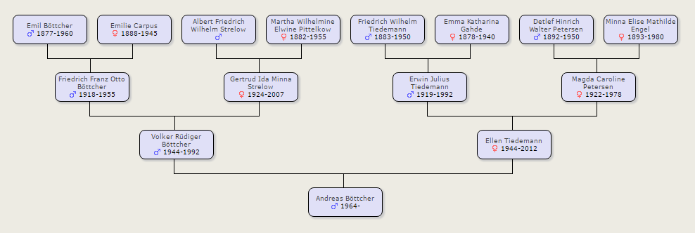 So sieht ein Familienstammbaum aus