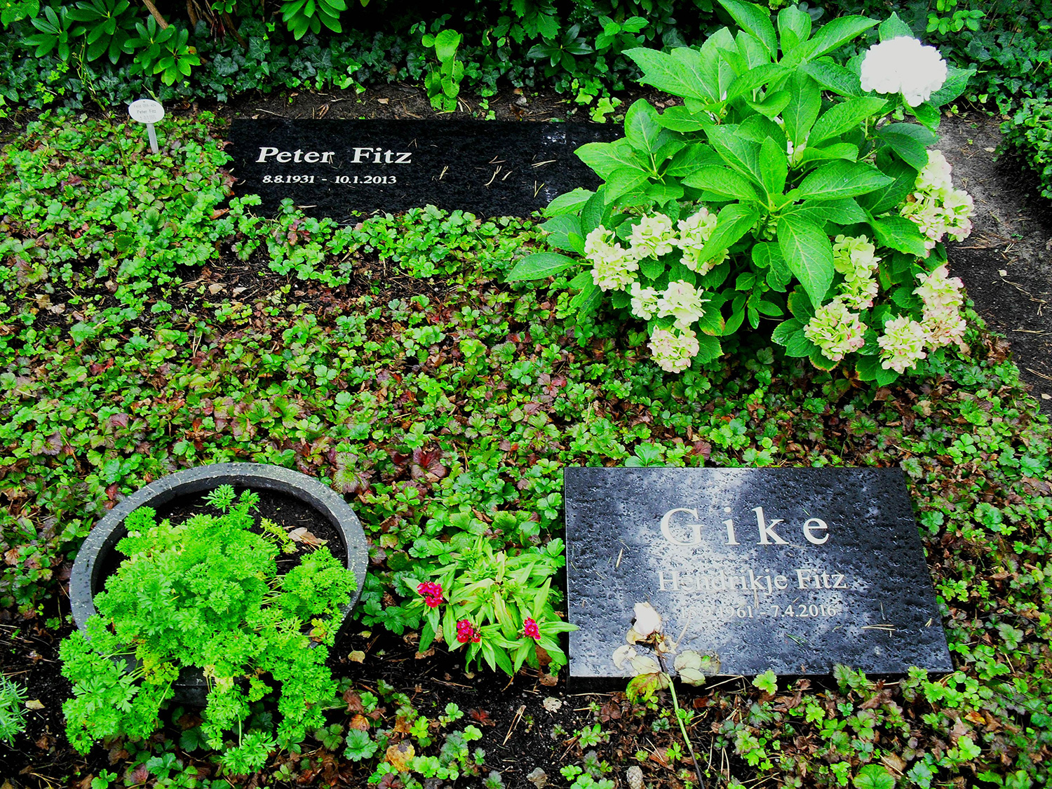 Das Grab von Hendrikje Fitz