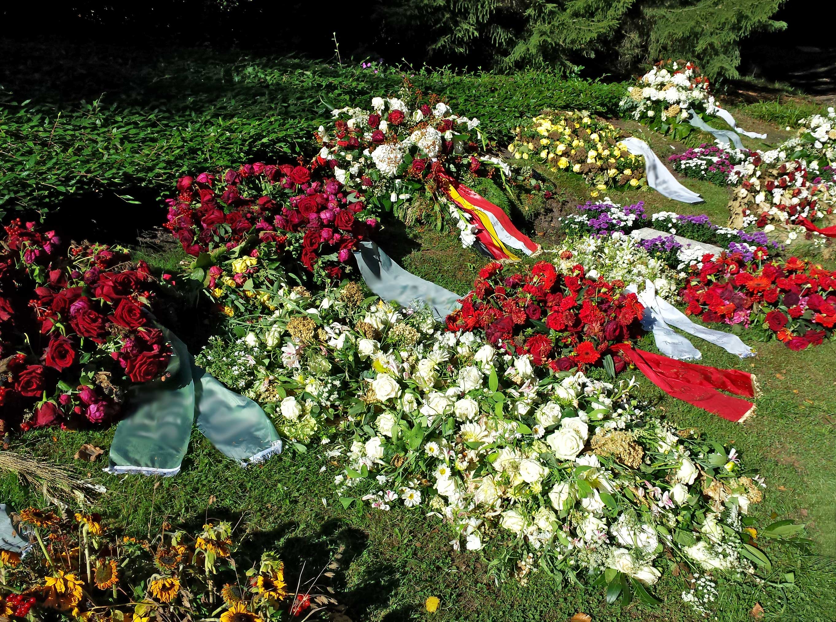 Grab von Henning Voscherau auf dem Ohlsdorfer Friedhof in Hamburg