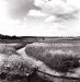 Wiesenlandschaft bei Bahn